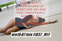 11837_M17-