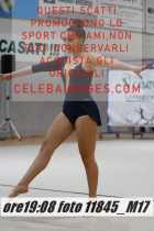 11845_M17-