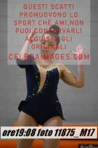 11875_M17-