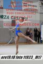 11923_M17-
