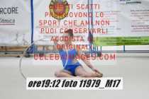 11979_M17-