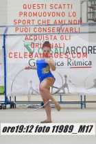 11989_M17-
