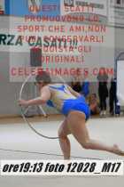 12028_M17-