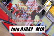 01842_M19