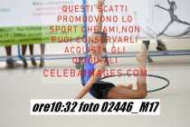 02446_M17