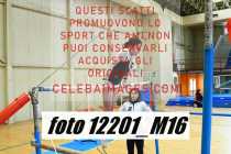 12201_M16