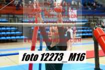 12273_M16