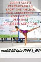 15003_M17-