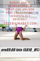 15010_M17-