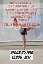 15036_M17-