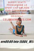 15084_M17-