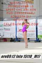 15110_M17-