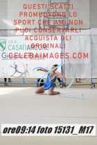 15131_M17-