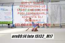 15132_M17-
