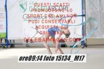 15134_M17-