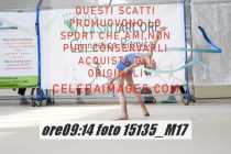 15135_M17-