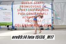 15136_M17-
