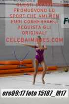 15187_M17-