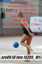 15205_M17-
