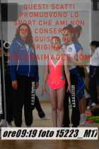 15223_M17-