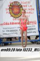 15233_M17-