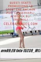 15239_M17-