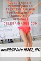 15242_M17-