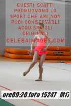 15247_M17-