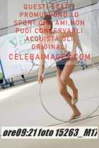15263_M17-