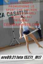 15271_M17-