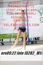 15282_M17-