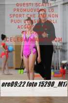 15290_M17-