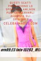 15293_M17-