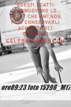 15296_M17-