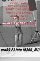 15305_M17-