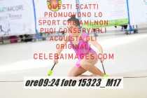 15323_M17-