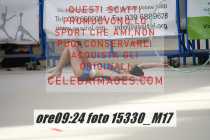15330_M17-