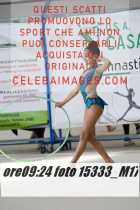 15333_M17-