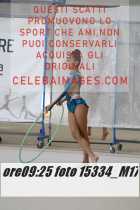 15334_M17-