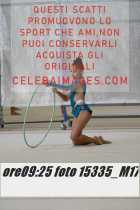 15335_M17-
