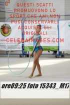 15343_M17-