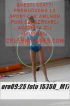15350_M17-