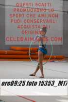 15353_M17-