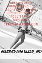 15356_M17-