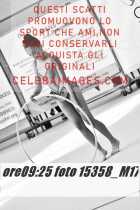 15358_M17-
