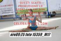 15359_M17-