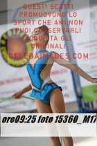 15360_M17-