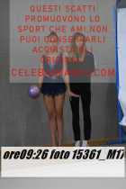15361_M17-