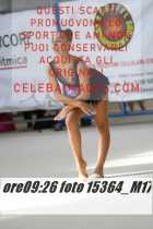 15364_M17-