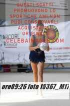 15367_M17-